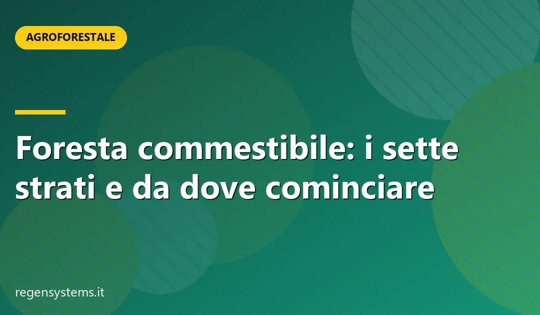 Foresta commestibile: i sette strati e da dove cominciare